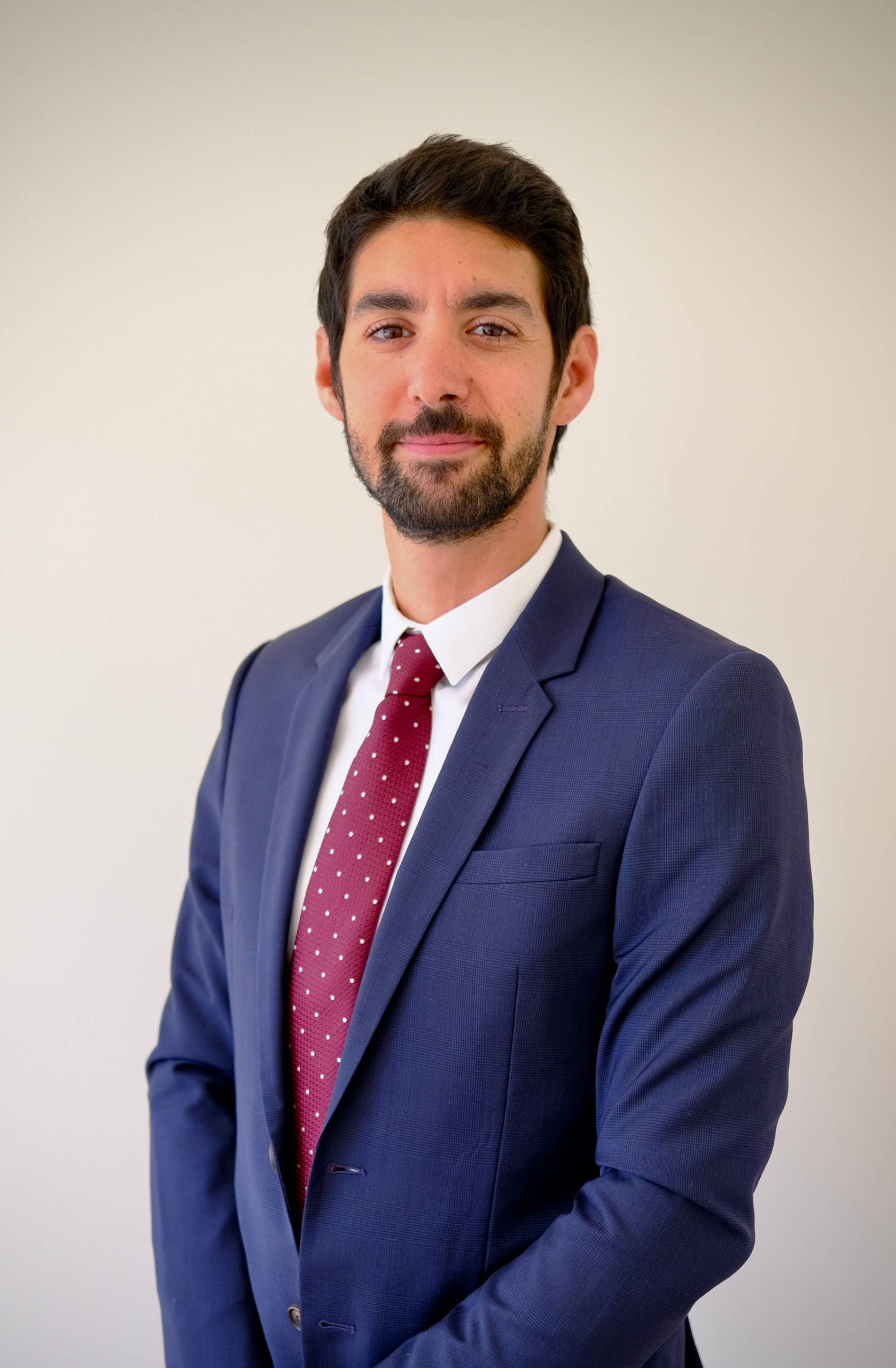 Dr David Grinholtz